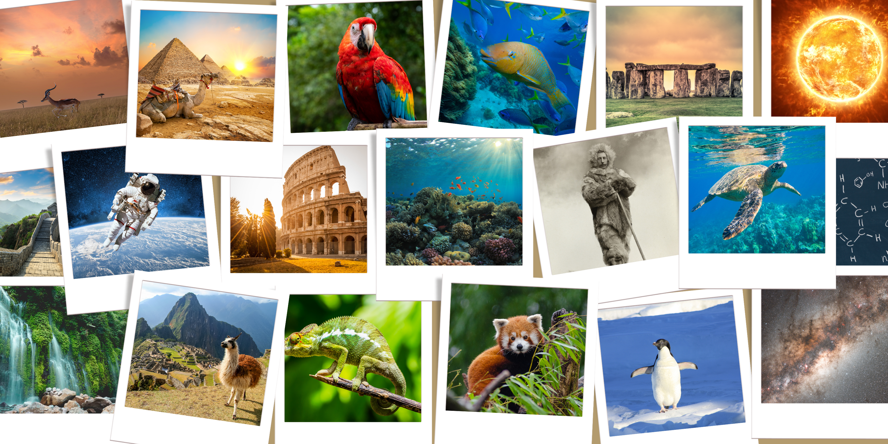 Many images of nature, science, and history, indicating how Letters From Fileas, the monthly educational letters for children, inspire curiosity and literacy skills.