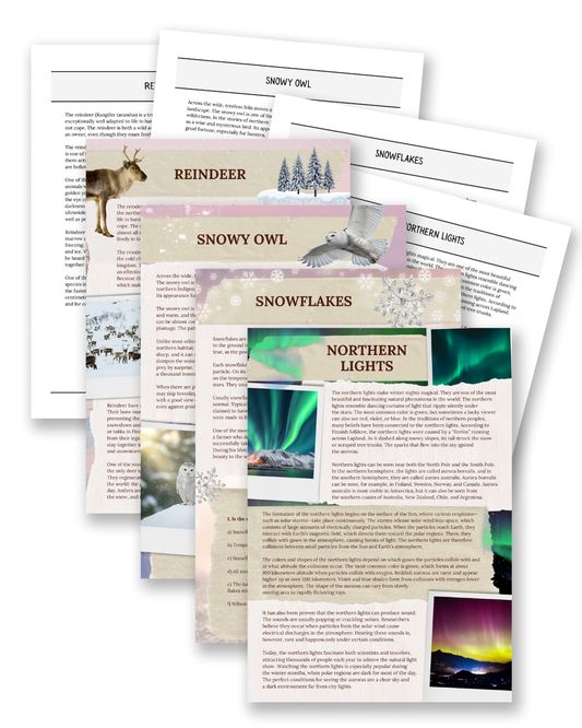 The Arctic: Northern Lights & Reindeer - Non-Fiction Reading Comprehension