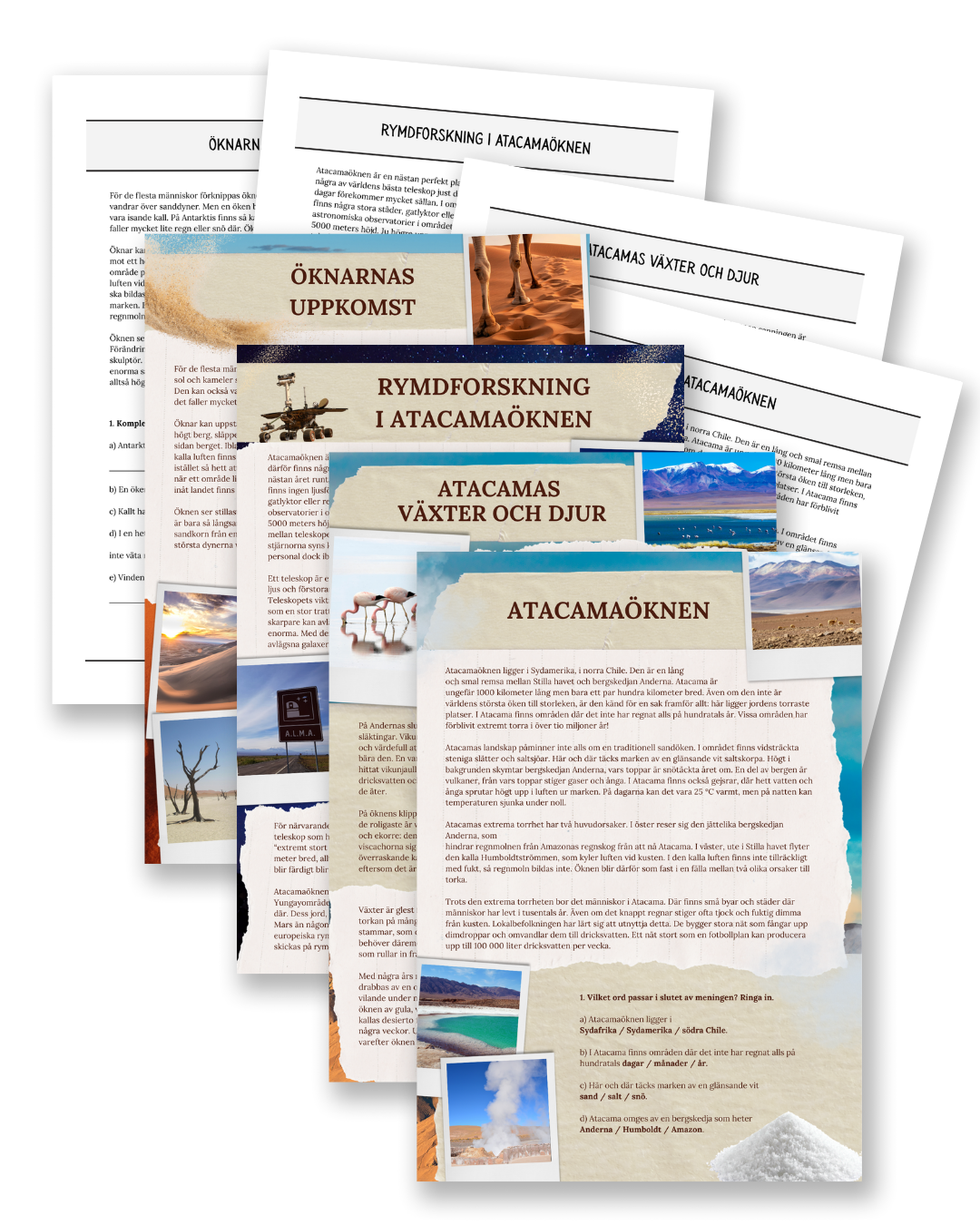 Atacama Desert: Origins, Wildlife & Space Research - Non-Fiction Reading Comprehension