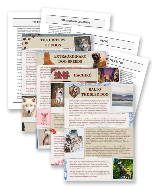 Dogs: History & True Stories - Non-Fiction Reading Comprehension