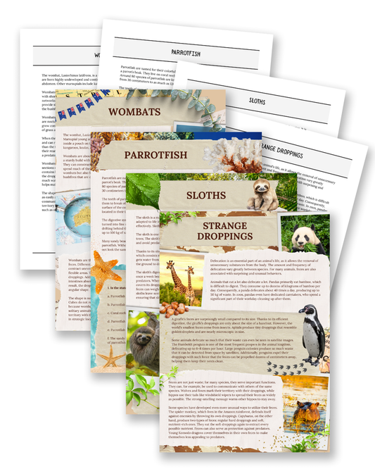 Droppings: Wombats, Sloths & Parrotfish - Non-Fiction Reading Comprehension
