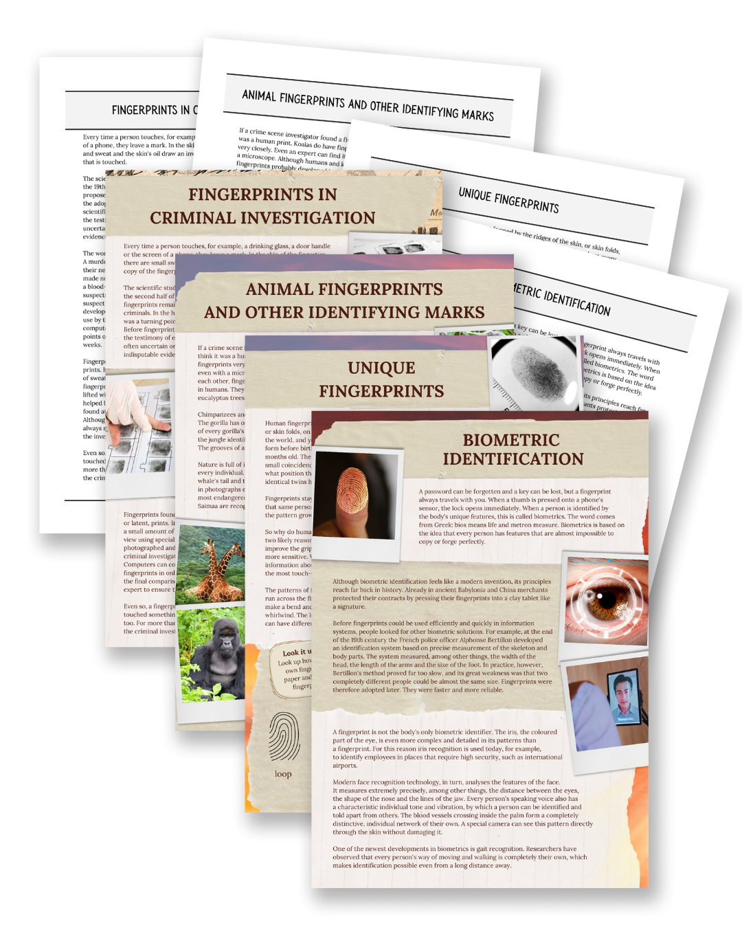 Printable non-fiction reading comprehension text set about fingerprints and biometrics for children