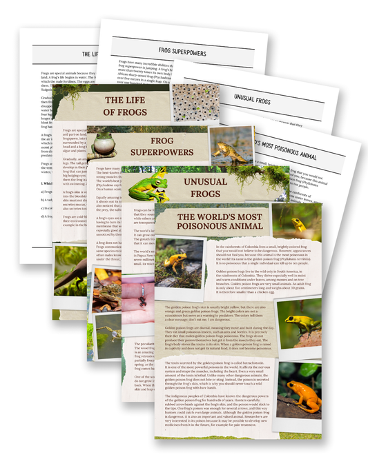 Frogs: Superpowers, Poison & Unusual Species - Non-Fiction Reading Comprehension