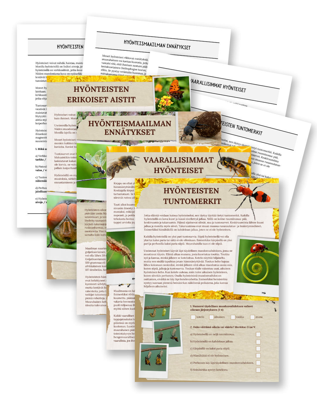 Insects: Biology, Records & Dangerous Bugs - Non-Fiction Reading Comprehension