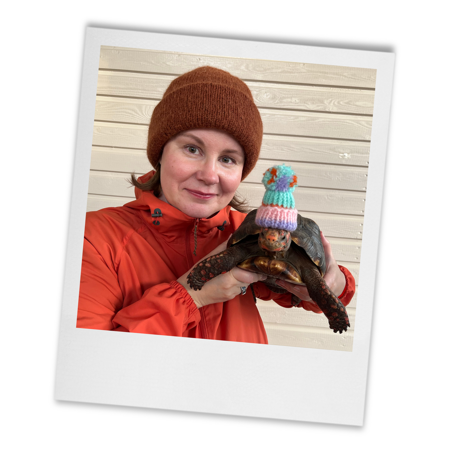 Hanna Niittyviita, the author of the letters, and Fileas the tortoise.