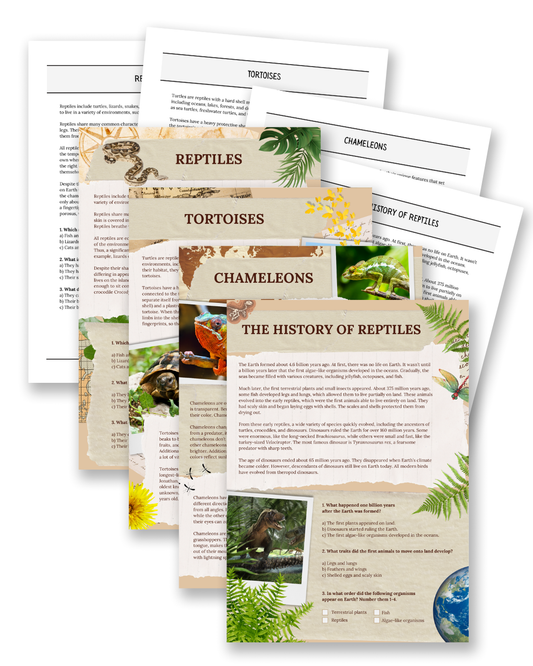 Reptiles: History, Chameleons & Tortoises - Non-Fiction Reading Comprehension