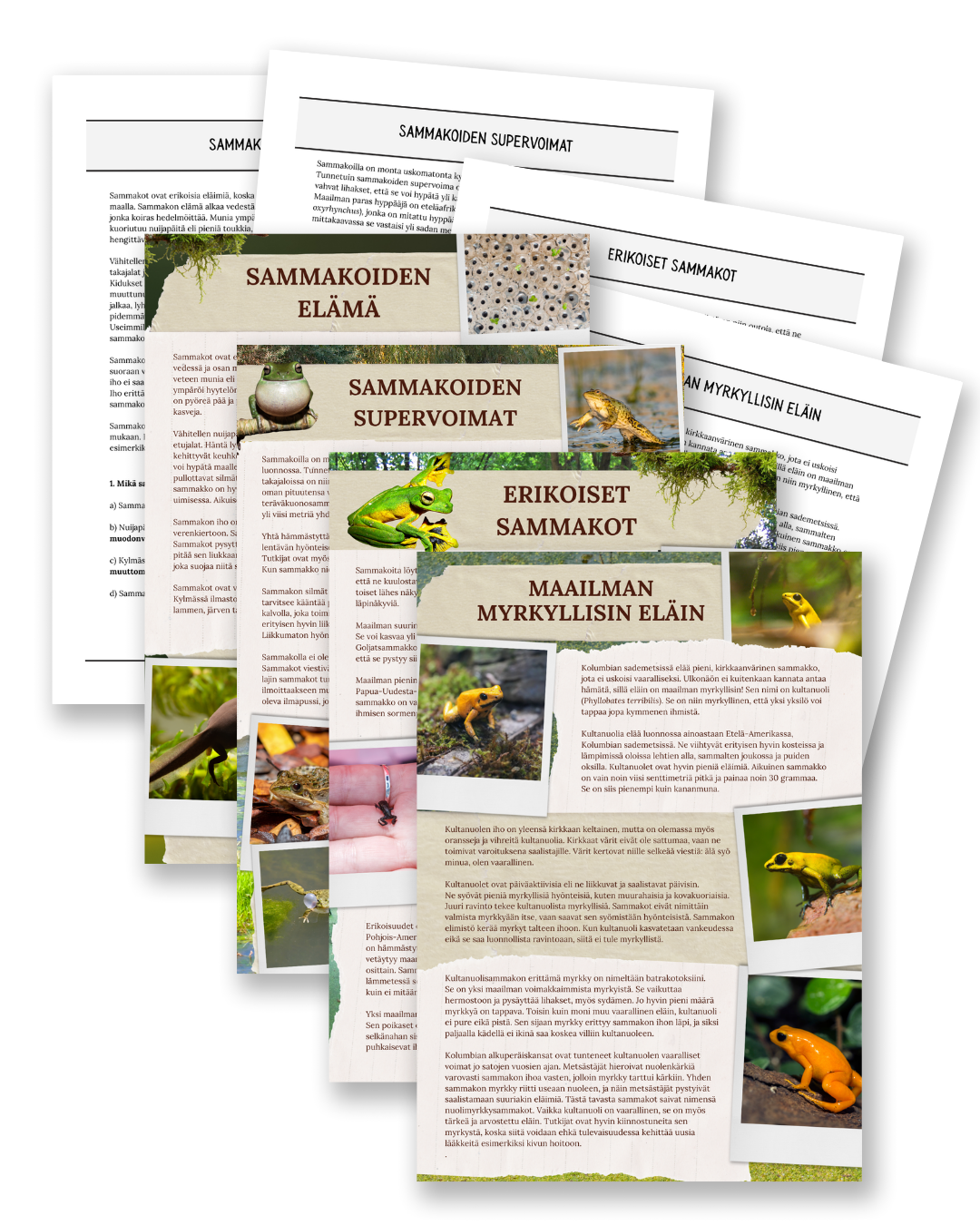 Frogs: Superpowers, Poison & Unusual Species - Non-Fiction Reading Comprehension