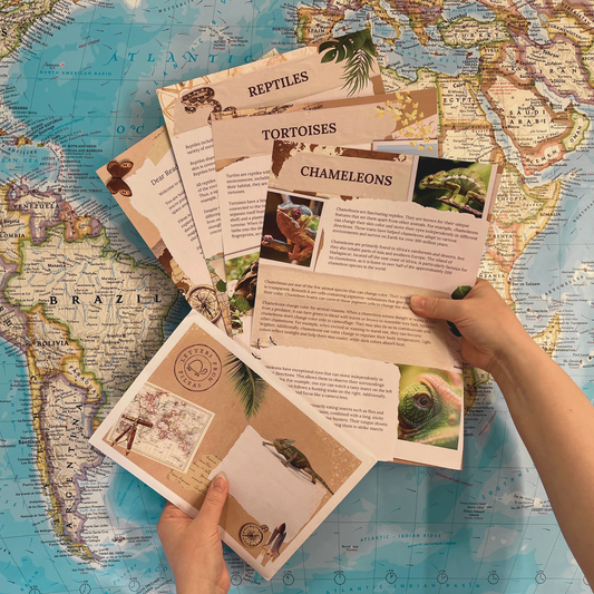 A close-up of the monthly educational letters for children that are designed to make learning and reading both fun and rewarding.