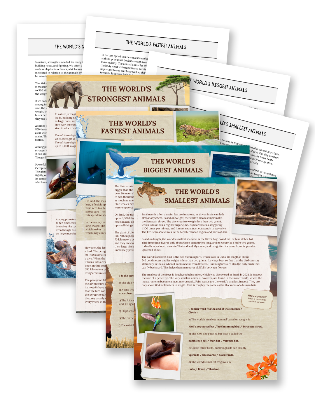 Animal Records printable non-fiction reading comprehension text set for kids