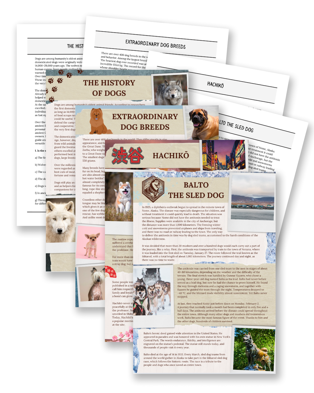 Dogs printable non-fiction reading comprehension text set for kids